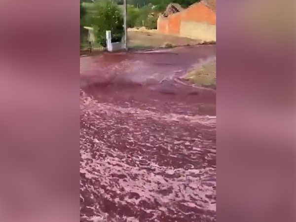 River of red wine flows through Portuguese town after distillery accident