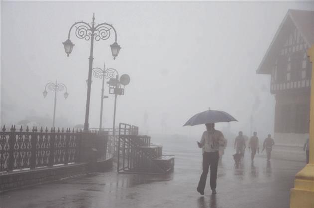 Rain, snow bring down temperatures in Himachal Pradesh
