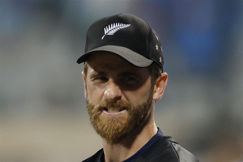 WORLD CUP 2023 Mohammed Shami a top operator, India the best team in the world: Kane Williamson Mohammed Shami a top operator, India the best team in the world: Kane William