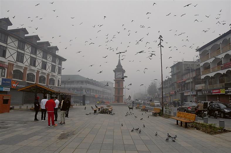Dense fog disrupts flight operations in Srinagar