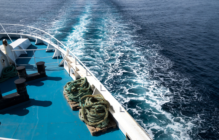 Yemen’s Houthi rebels hijack Israeli-linked India-bound ship in Red Sea; take 25 crew members hostage